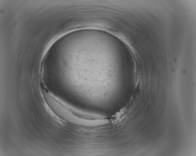 X0000084531532200703091615