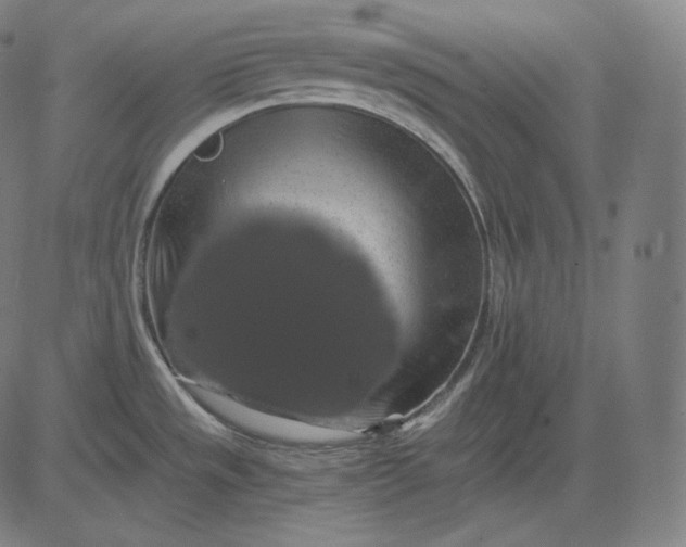 X0000084531533200703091615