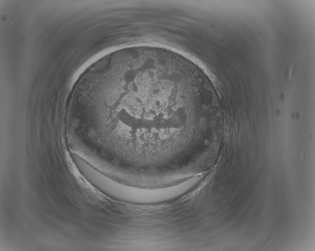 X0000084531534200703091615