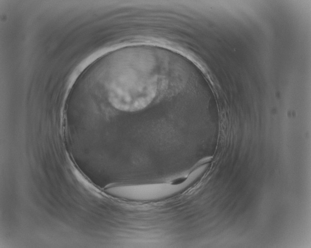 X0000084531535200703091615