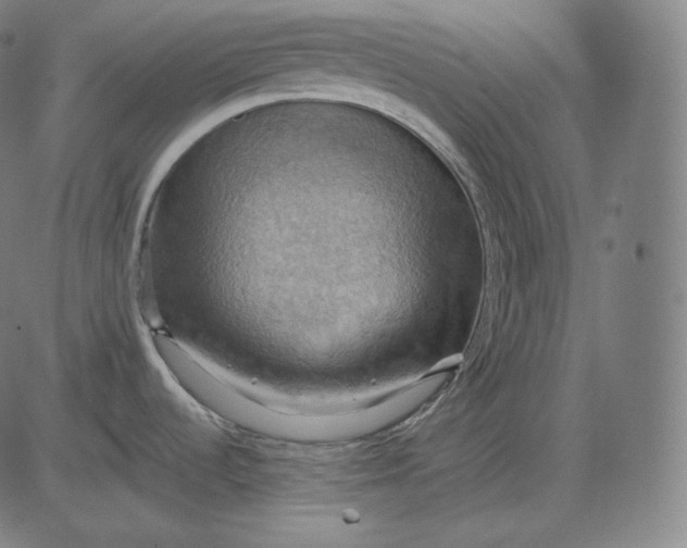 X0000084531536200703091615