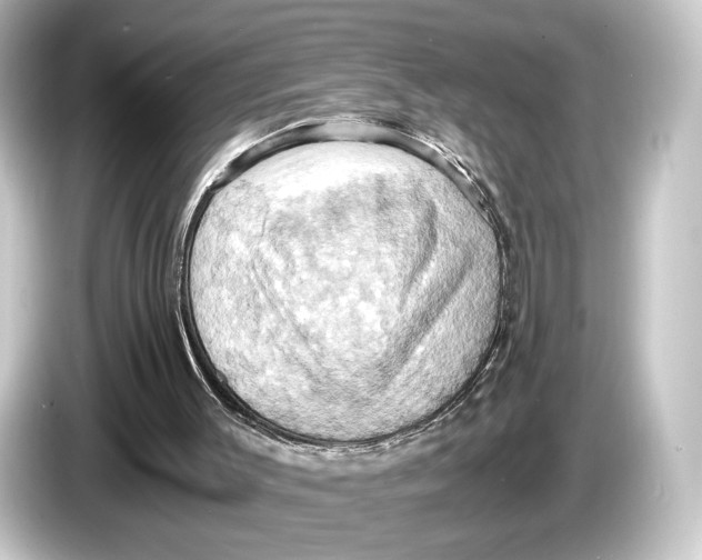 X0000084530003200703161617