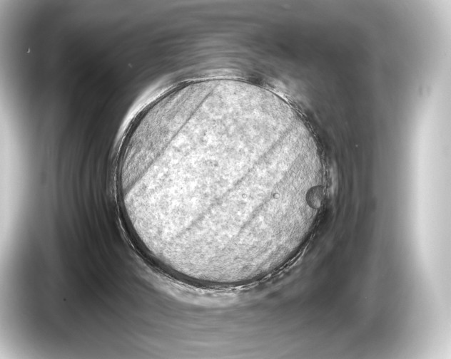 X0000084530004200703161617