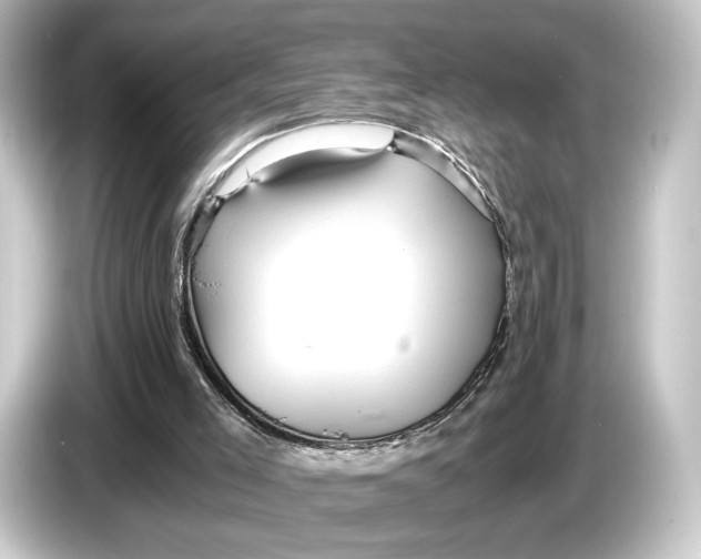 X0000084530005200703161617