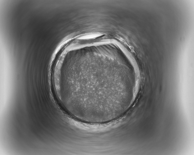 X0000084530006200703161617