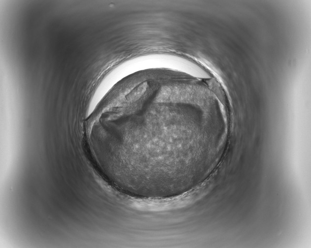 X0000084530009200703161617