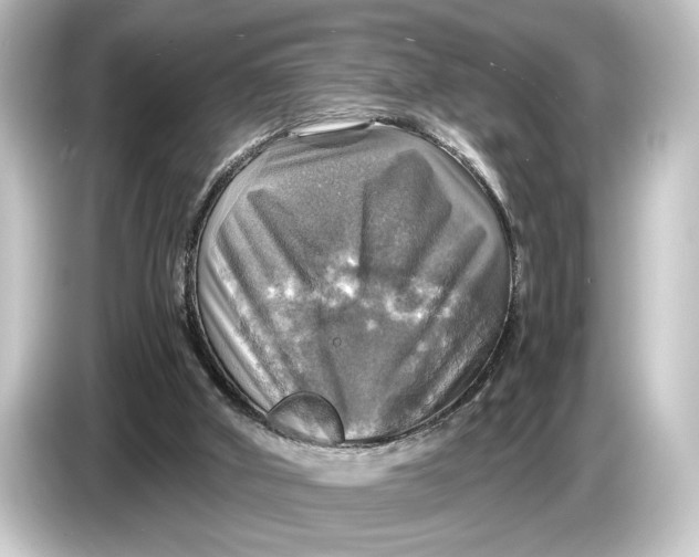 X0000084530010200703161617