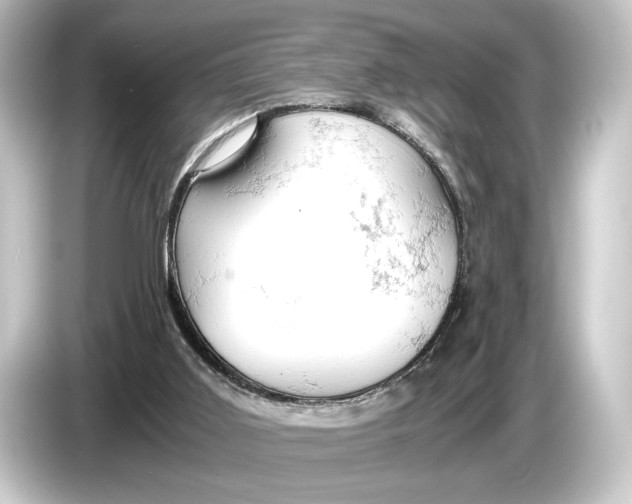 X0000084530011200703161617