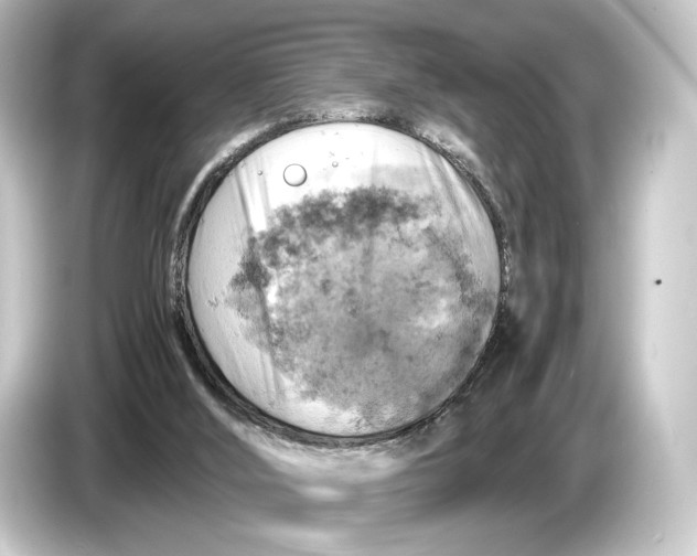 X0000084530012200703161617