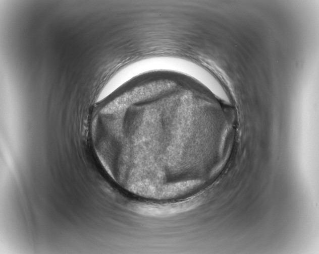 X0000084530017200703161617