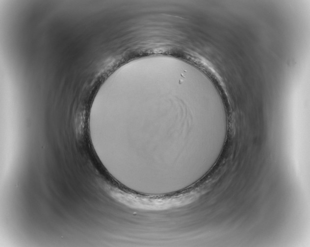 X0000084530018200703161617