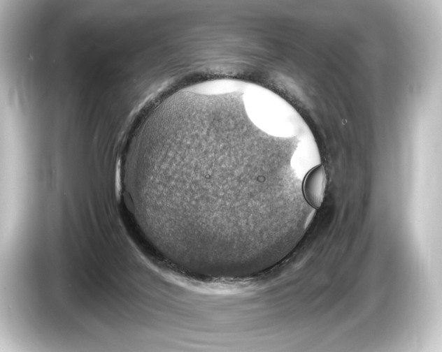 X0000084530020200703161617