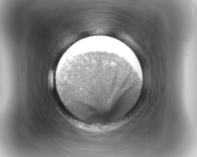 X0000084530022200703161617