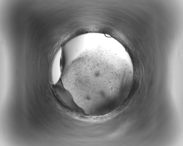 X0000084530023200703161617