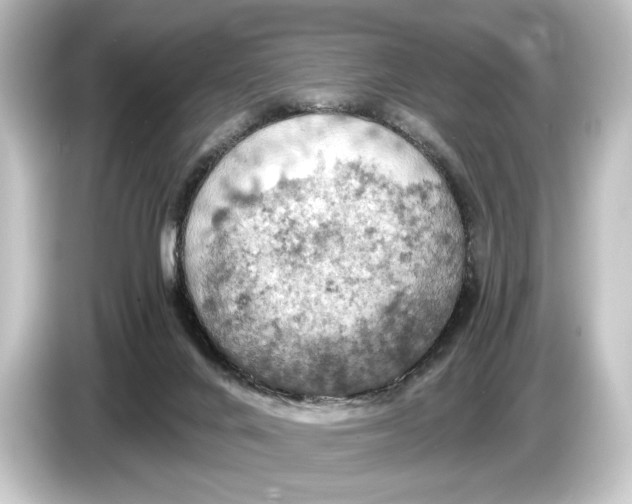 X0000084530024200703161617