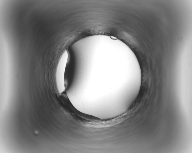 X0000084530025200703161617