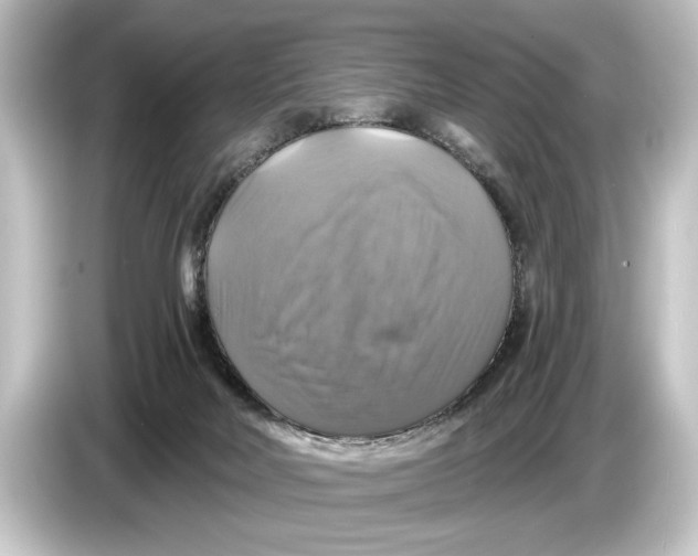 X0000084530026200703161617