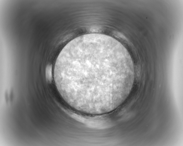 X0000084530028200703161617