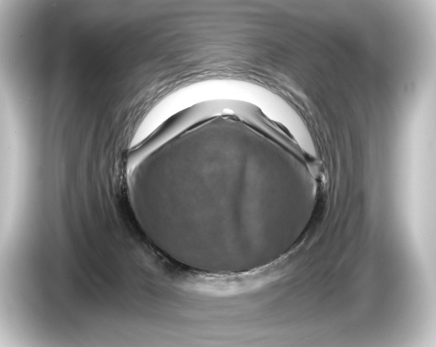 X0000084530029200703161617