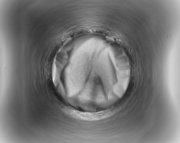 X0000084530030200703161617