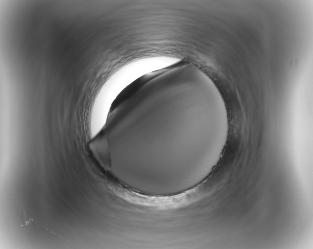 X0000084530031200703161617