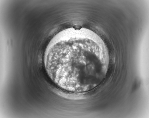 X0000084530032200703161617