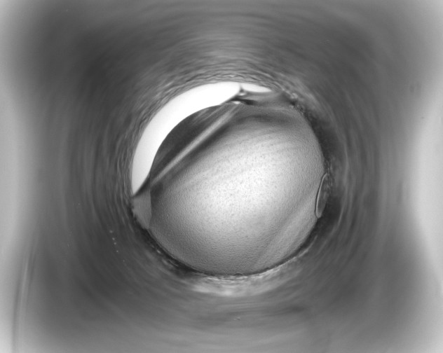 X0000084530033200703161617