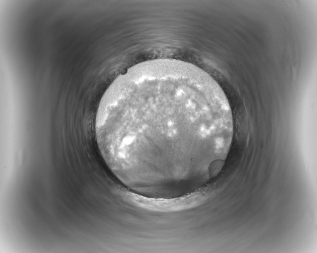 X0000084530034200703161617
