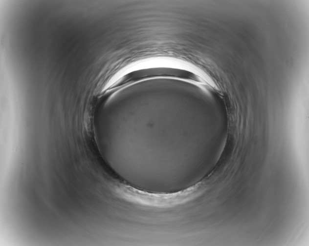 X0000084530035200703161617