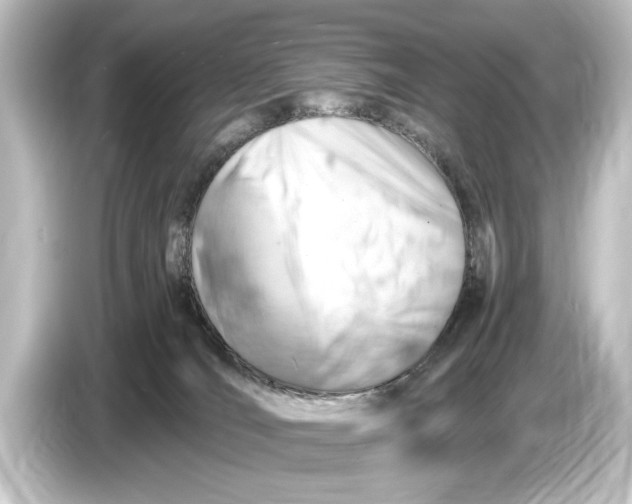 X0000084530036200703161617