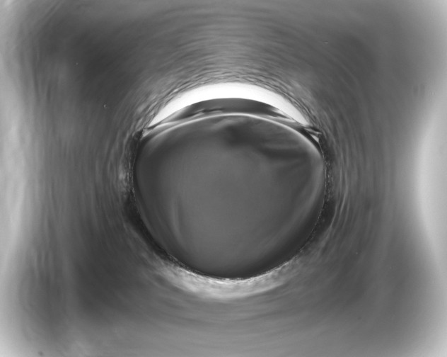 X0000084530039200703161617