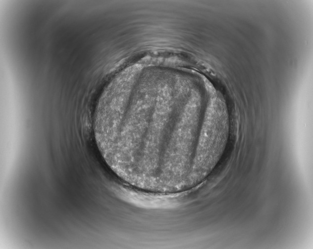 X0000084530040200703161617