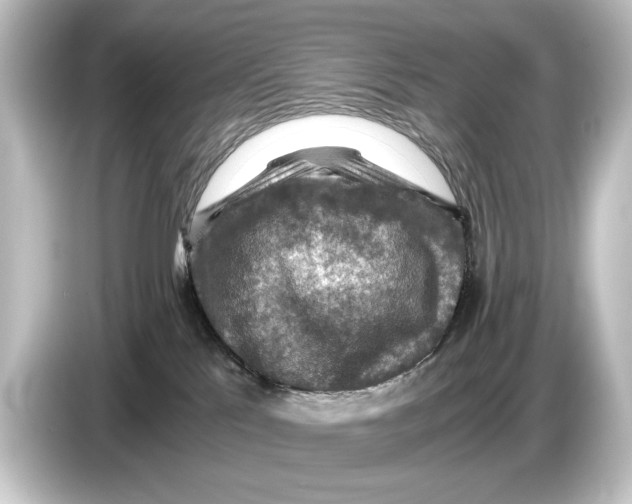 X0000084530041200703161617