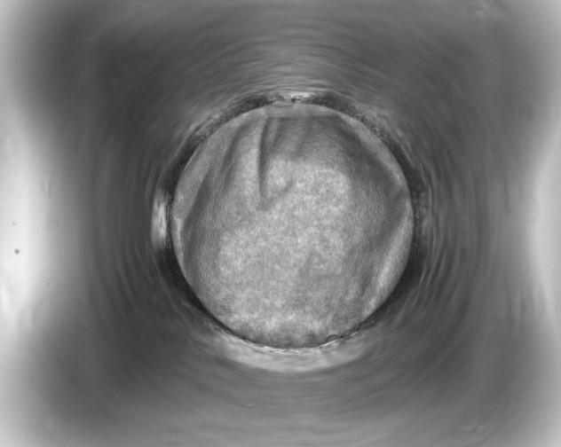 X0000084530042200703161617