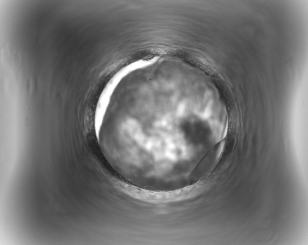X0000084530043200703161617