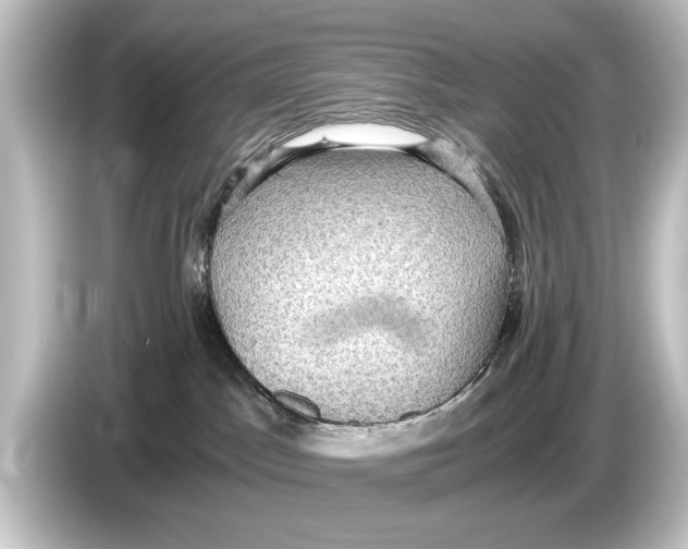 X0000084530045200703161617