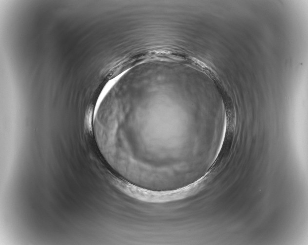 X0000084530047200703161617