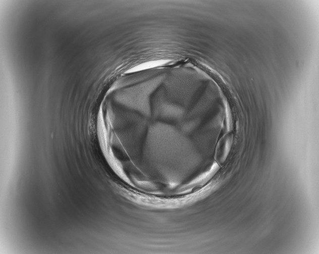 X0000084530048200703161617
