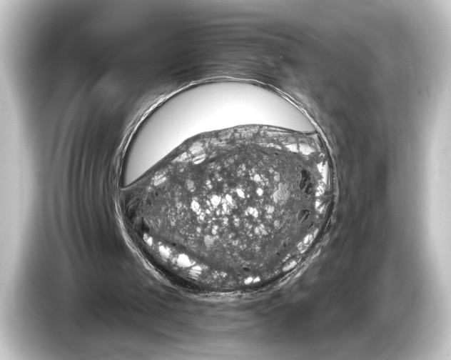 X0000084530049200703161616