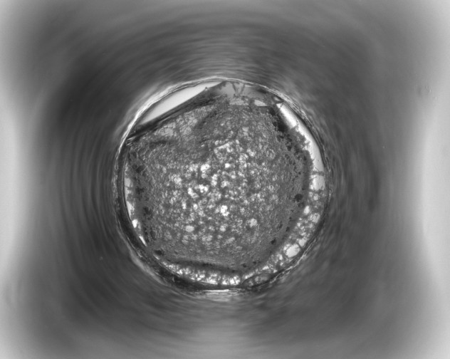 X0000084530050200703161616