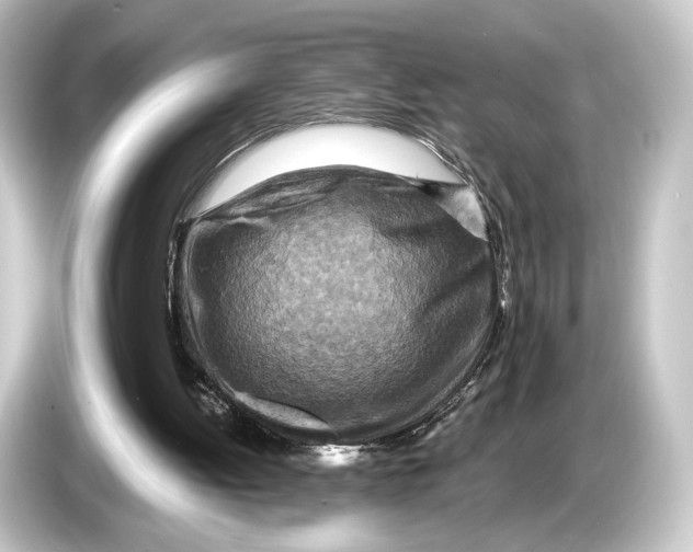 X0000084530052200703161616