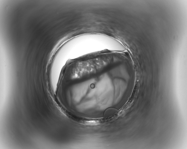 X0000084530053200703161616