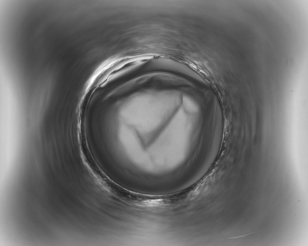 X0000084530054200703161616