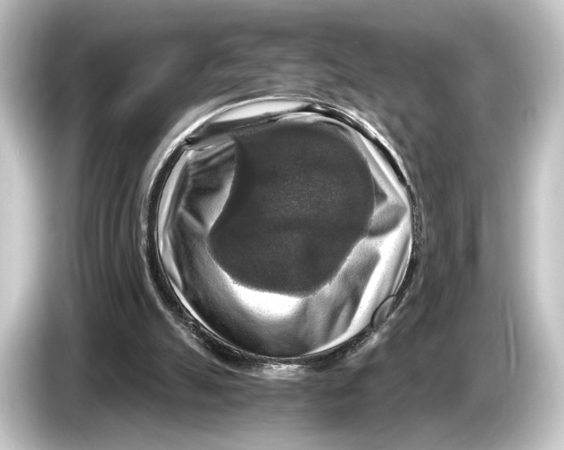 X0000084530055200703161616