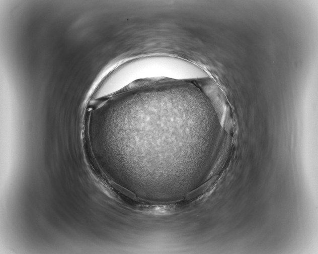 X0000084530056200703161616