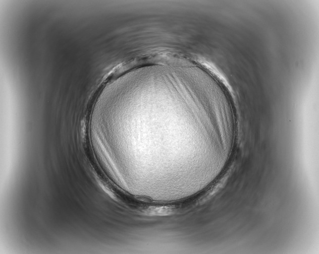 X0000084530057200703161616