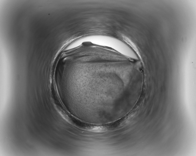 X0000084530059200703161616