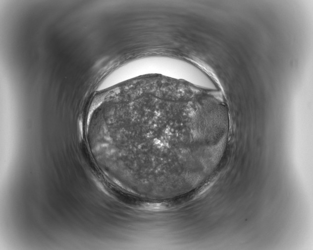 X0000084530061200703161616