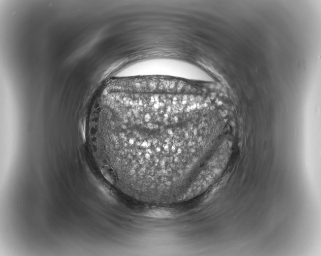 X0000084530062200703161616