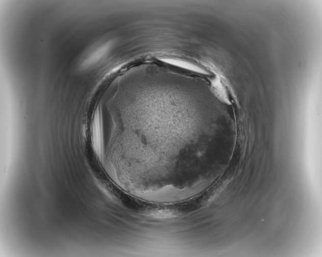 X0000084530063200703161616